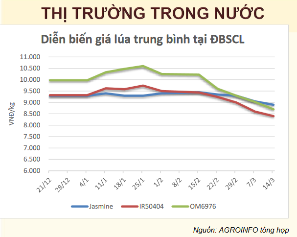 diễn biến gạo trong nước khu vực ĐBSCL_1710823276.PNG